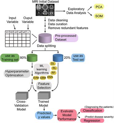 Brain structure–function coupling associated with cognitive impairment in cerebral small vessel disease